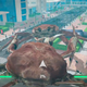 Illustration for article titled Crab Battles Get Turned Into A Real Video Gameem/em